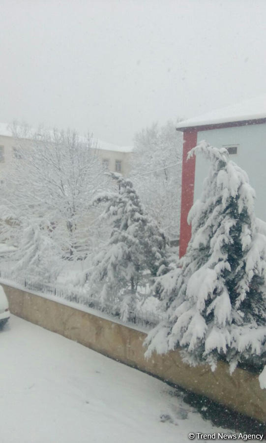Lerikdə qarın hündürlüyü 35 santimetrə çatdı (FOTO)