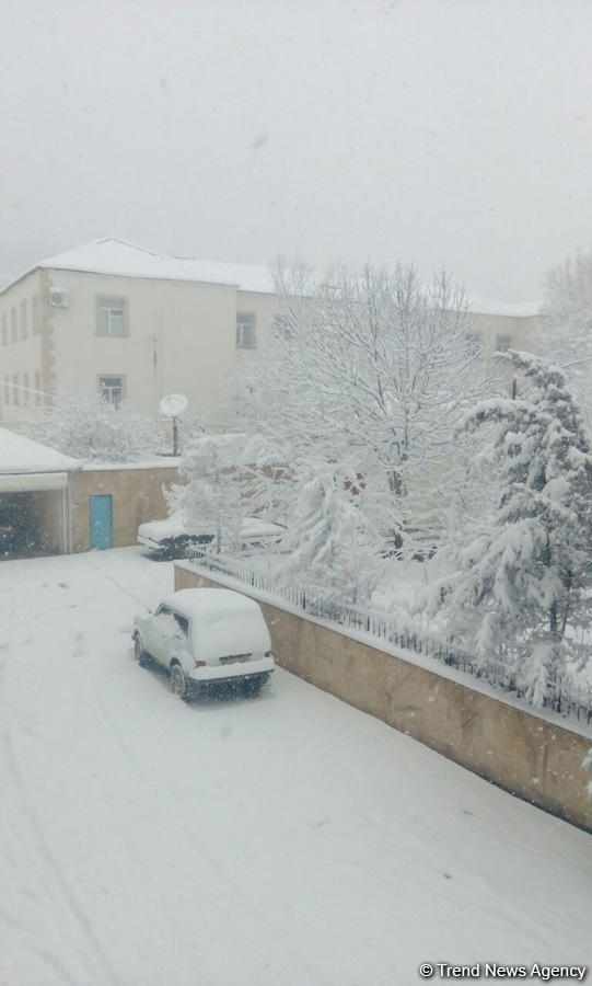 Lerikdə qarın hündürlüyü 35 santimetrə çatdı (FOTO)