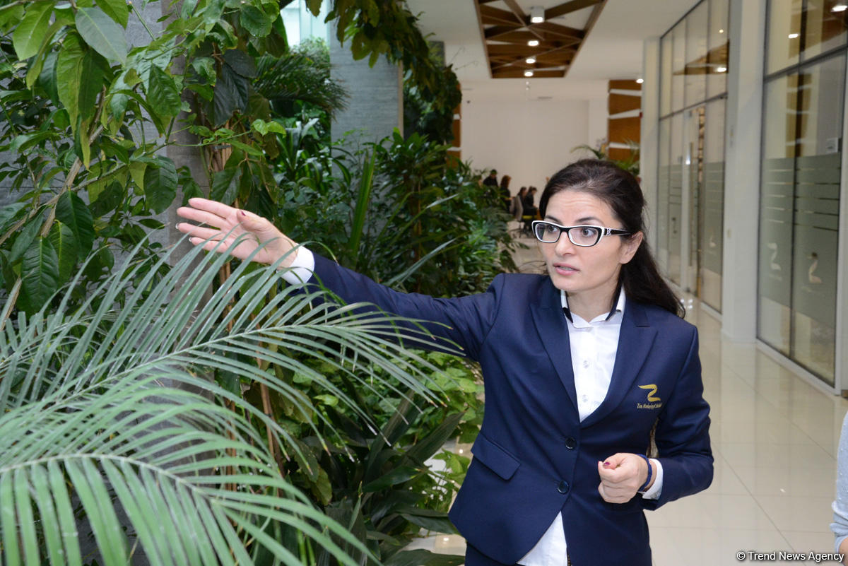 Zirə Mədəniyyət Mərkəzi və Eko-Parkı: cənnət məkana səyahət (FOTO)