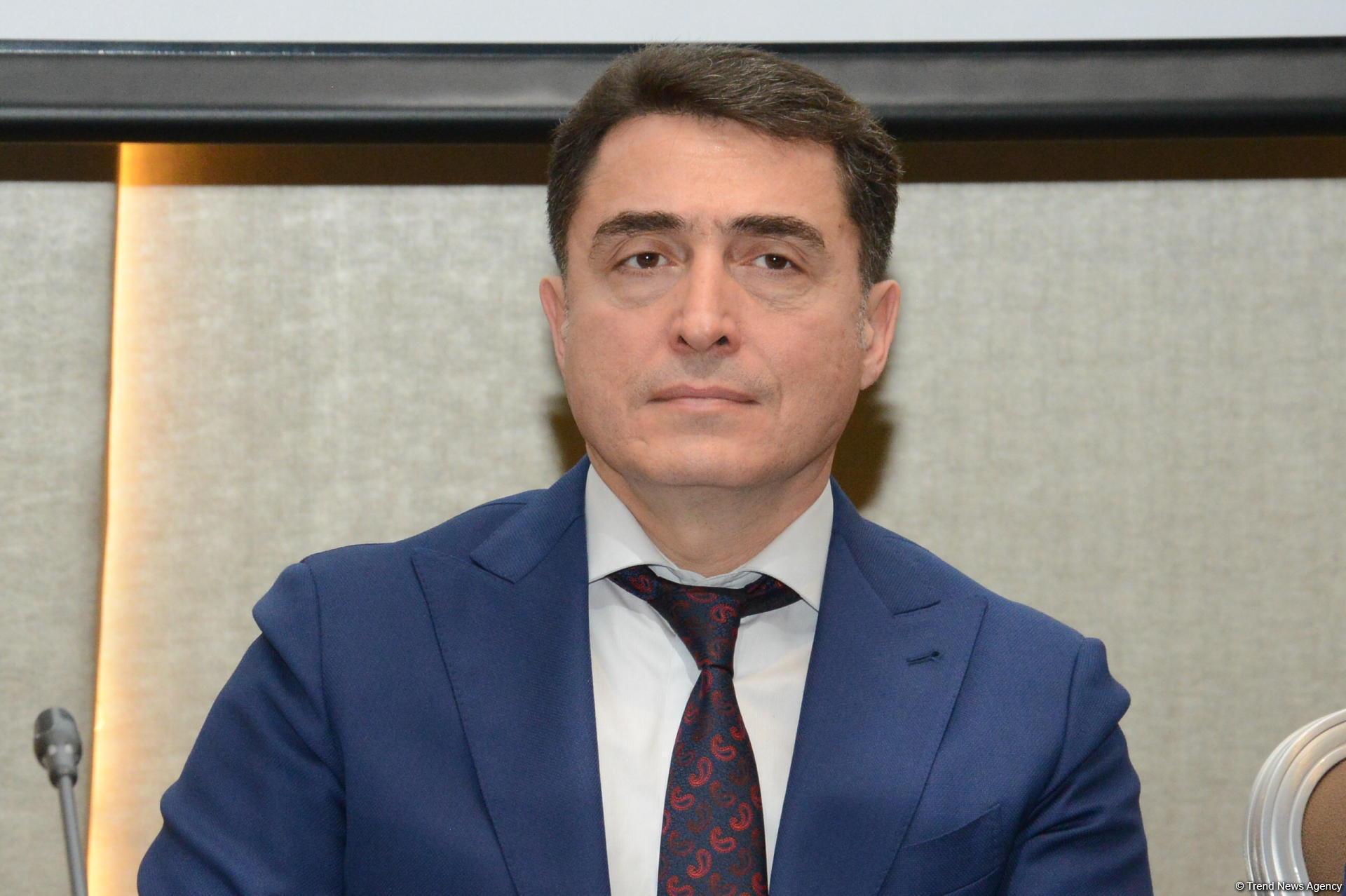 "Müəllif hüququna hörmətin aşılanması və rəqəmsal mühitdə piratçılığa və kontrafaktçılığa qarşı mübarizə" konfransı keçirilir (FOTO)