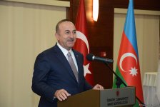 Azərbaycan və türk sözlərində fərqlər rəsmlərdə (FOTO)