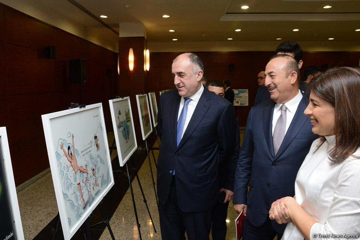 Azərbaycan və türk sözlərində fərqlər rəsmlərdə (FOTO)