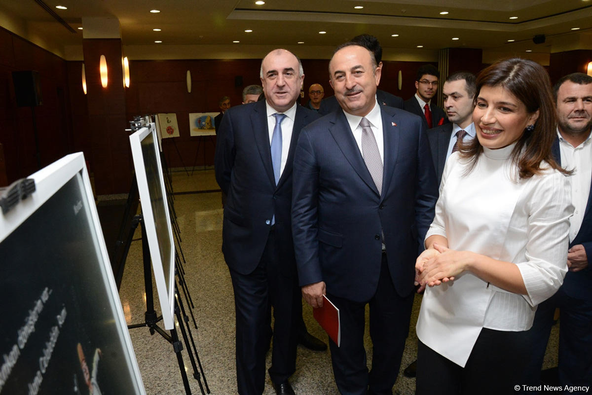 Azərbaycan və türk sözlərində fərqlər rəsmlərdə (FOTO)