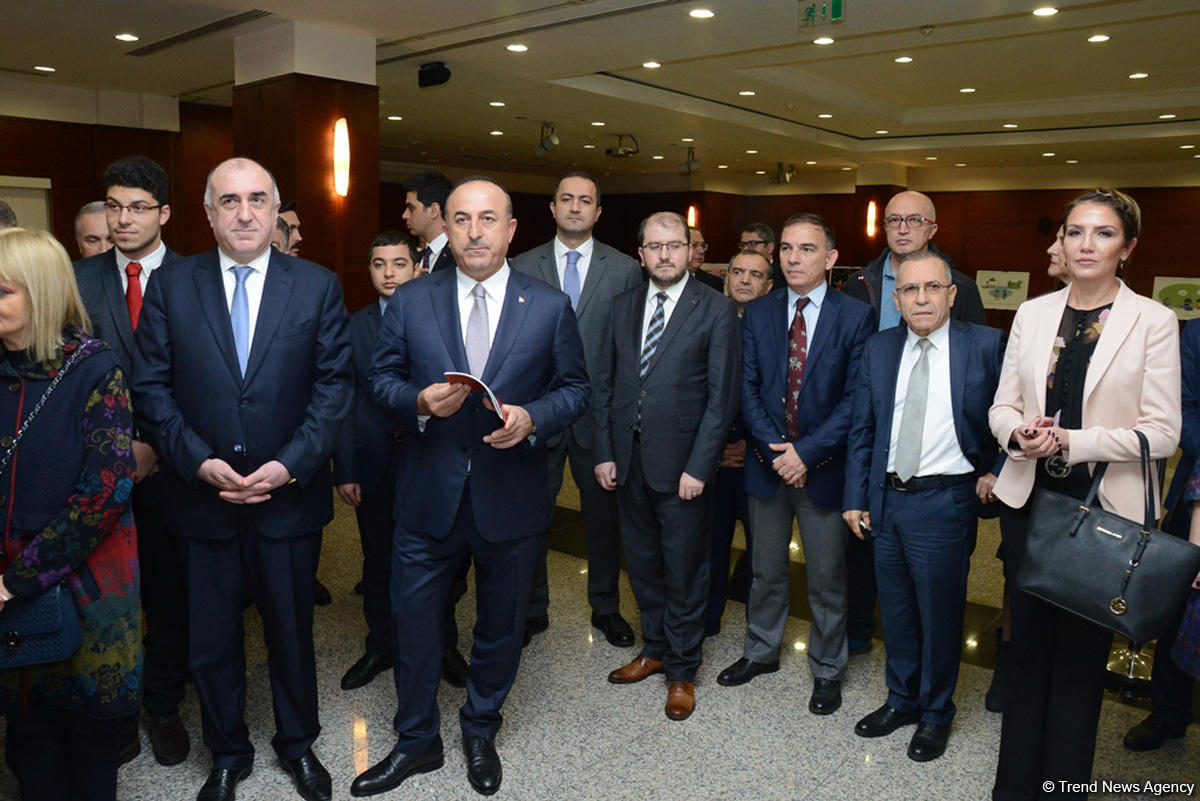 Azərbaycan və türk sözlərində fərqlər rəsmlərdə (FOTO)