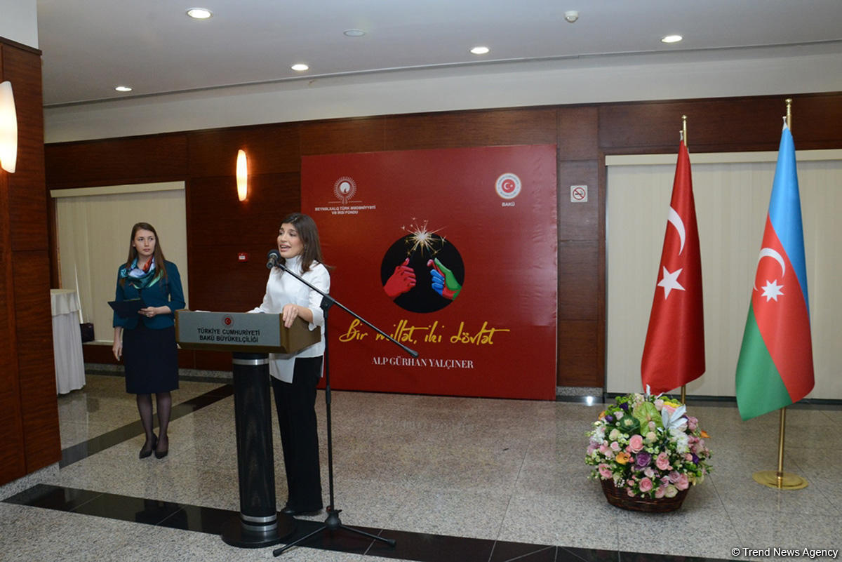 Azərbaycan və türk sözlərində fərqlər rəsmlərdə (FOTO)