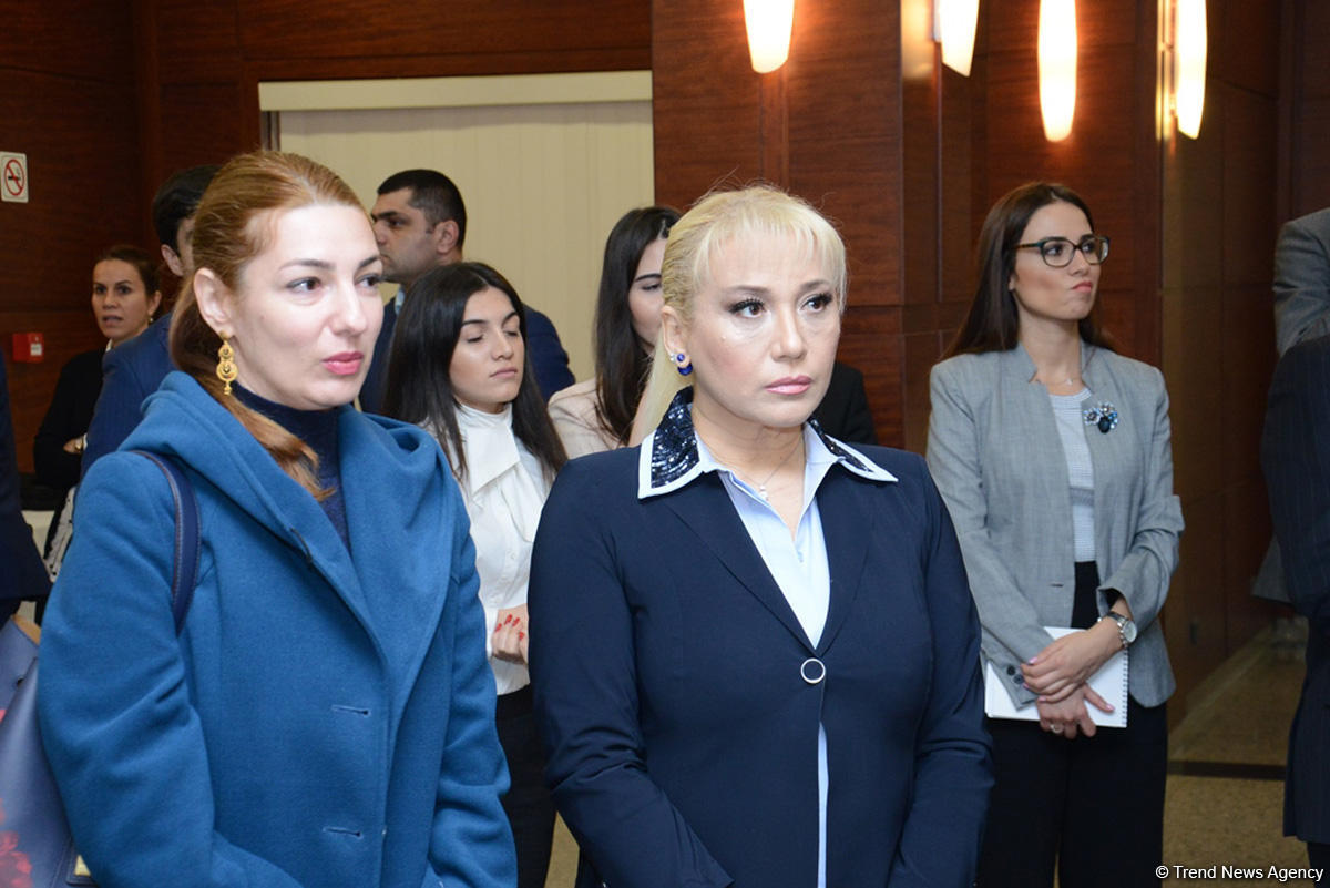 Azərbaycan və türk sözlərində fərqlər rəsmlərdə (FOTO)