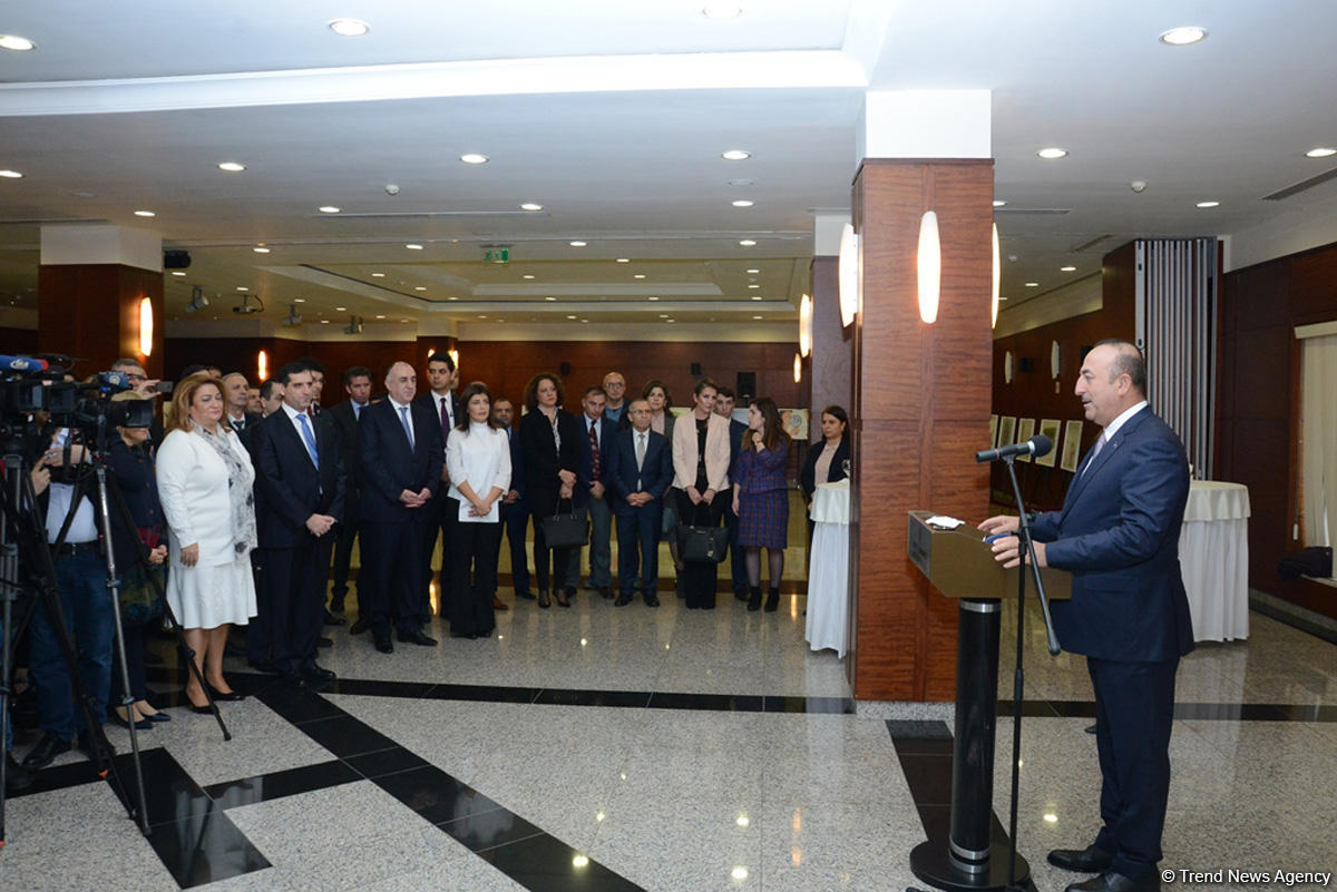 Azərbaycan və türk sözlərində fərqlər rəsmlərdə (FOTO)