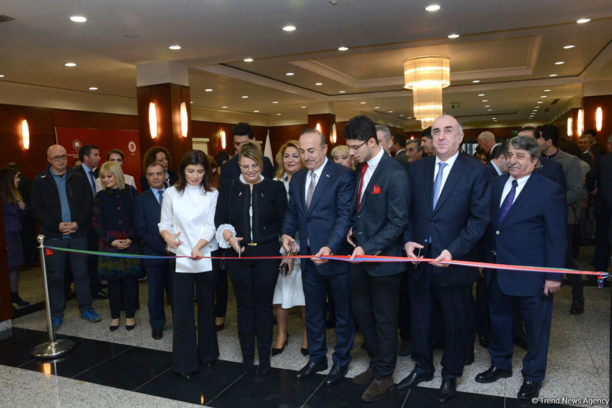 Azərbaycan və türk sözlərində fərqlər rəsmlərdə (FOTO)