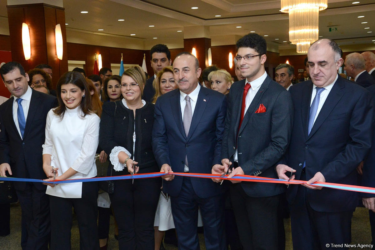 Azərbaycan və türk sözlərində fərqlər rəsmlərdə (FOTO)