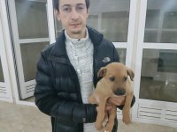 Heydər Əliyev Fondunun vitse-prezidenti Leyla Əliyeva yoqa üzrə ustad dərsində iştirak edib (FOTO)