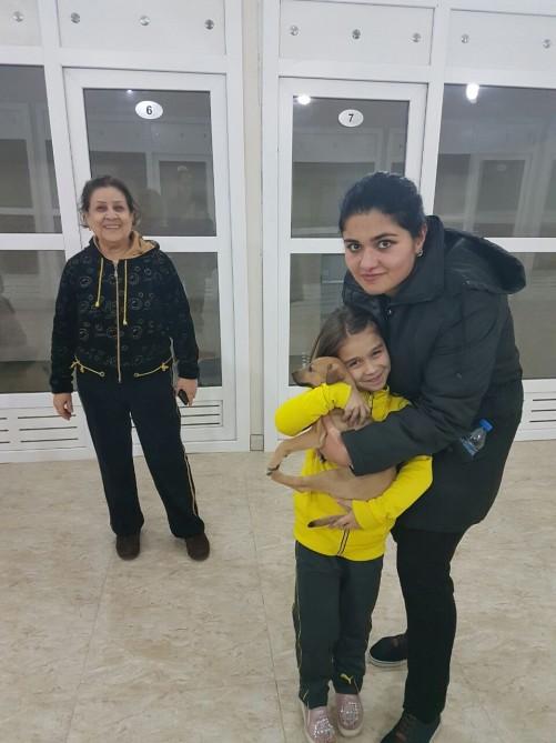 Heydər Əliyev Fondunun vitse-prezidenti Leyla Əliyeva yoqa üzrə ustad dərsində iştirak edib (FOTO)