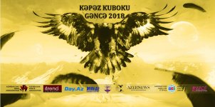 Gəncədə rəqs kollektivlərinin yarışı keçiriləcək (FOTO)