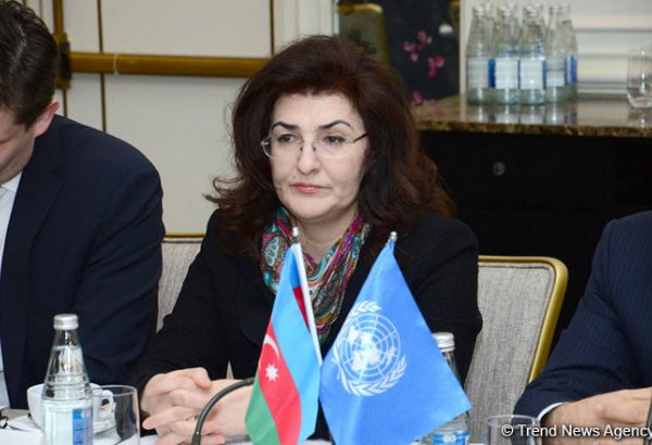 BMT-nin Dayanıqlı İnkişaf Məqsədləri çərçivəsində "Bakı prinsipləri" sənədi hazırlanacaq (FOTO)