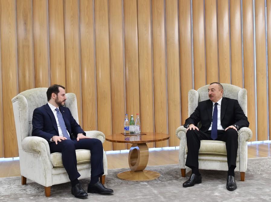 Prezident İlham Əliyev Türkiyənin energetika və təbii sərvətlər naziri ilə görüşüb
