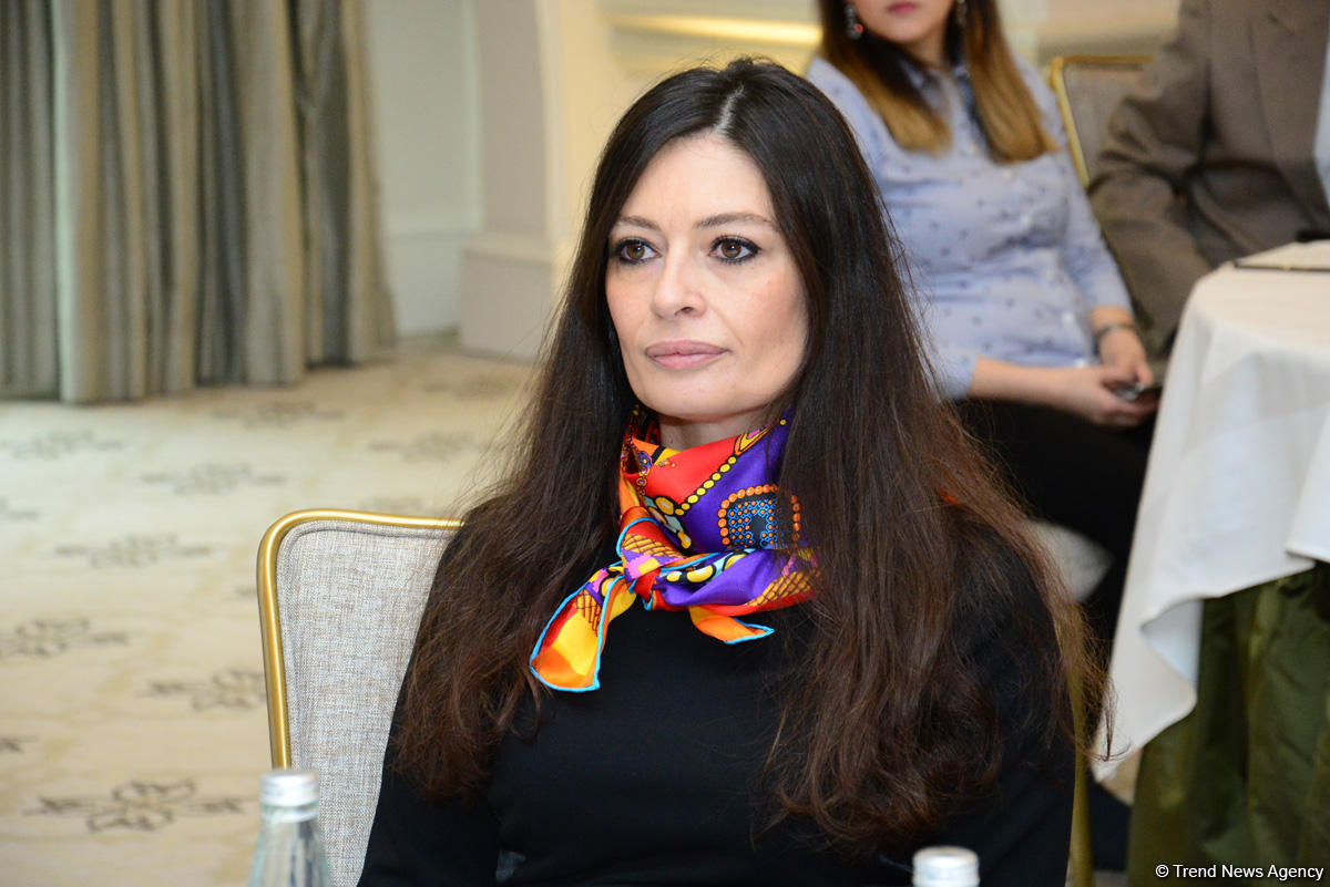 “RUN Construction and İnvestment Company” beynəlxalq investisiyaları Azərbaycana gətirir (FOTO)