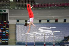 Bakıda İdman Gimnastikası üzrə Dünya Kuboku yarışlarının İLK GÜNÜ başladı (FOTO)