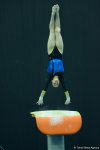 Bakıda idman gimnastikası üzrə Dünya Kubokunun ən gözəl anları FOTOLARDA