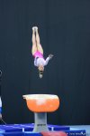 Bakıda idman gimnastikası üzrə Dünya Kubokunun ən gözəl anları FOTOLARDA