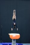 Bakıda idman gimnastikası üzrə Dünya Kubokunun ən gözəl anları FOTOLARDA