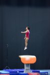 Bakıda idman gimnastikası üzrə Dünya Kubokunun ən gözəl anları FOTOLARDA