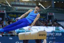 Bakıda idman gimnastikası üzrə Dünya Kubokunun sonuncu yarış günü başladı (FOTO)