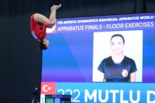 Bakıda idman gimnastikası üzrə Dünya Kubokunun sonuncu yarış günü başladı (FOTO)
