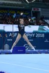 Bakıda idman gimnastikası üzrə Dünya Kubokunun sonuncu yarış günü başladı (FOTO)