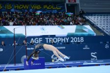 Bakıda idman gimnastikası üzrə Dünya Kubokunun sonuncu yarış günü başladı (FOTO)