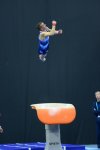 Bakıda idman gimnastikası üzrə Dünya Kubokunun sonuncu yarış günü başladı (FOTO)