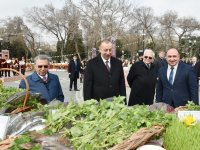 Prezident İlham Əliyev və birinci xanım Mehriban Əliyeva Novruz bayramı münasibətilə ümumxalq şənliyində iştirak ediblər (YENİLƏNİB-3) (FOTO)
