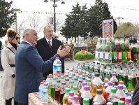 Prezident İlham Əliyev və birinci xanım Mehriban Əliyeva Novruz bayramı münasibətilə ümumxalq şənliyində iştirak ediblər (YENİLƏNİB-3) (FOTO)