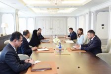 Birinci vitse-prezident Mehriban Əliyeva İran Prezidentinin qadın və ailə məsələləri üzrə müavini ilə görüşüb (FOTO) (YENİLƏNİB)