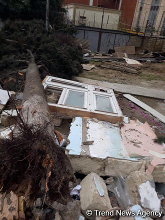 Küləyin aşırdığı ağac yolu bağladı - Bakıda Aşıq Alı küçəsində (FOTO)