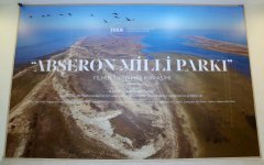 Leyla Əliyeva “Abşeron Milli Parkı” sənədli filminin təqdimat mərasimində iştirak edib (FOTO)