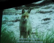 Leyla Əliyeva “Abşeron Milli Parkı” sənədli filminin təqdimat mərasimində iştirak edib (FOTO)