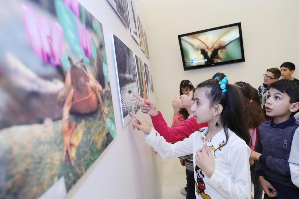 Leyla Əliyeva “Abşeron Milli Parkı” sənədli filminin təqdimat mərasimində iştirak edib (FOTO)