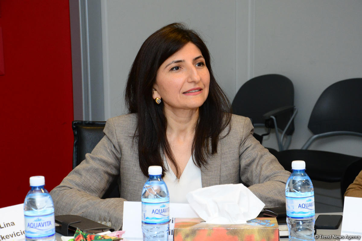 Trend İnformasiya Agentliyində prezident seçkilərini işıqlandırmaq üçün Azərbaycana gələn xarici jurnalistlərlə görüş keçirilib (FOTO)