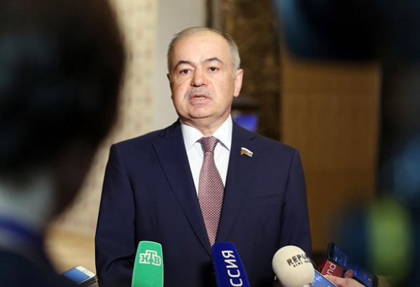 MDB PA müşahidə missiyasının rəhbəri: Prezident seçkilərində yüksək fəallığı proqnozlaşdırmaq olar