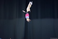 Bakıda batut gimnastikası, ikili mini-batut və tamblinq üzrə Avropa çempionatının birinci günü start götürüb (FOTO)