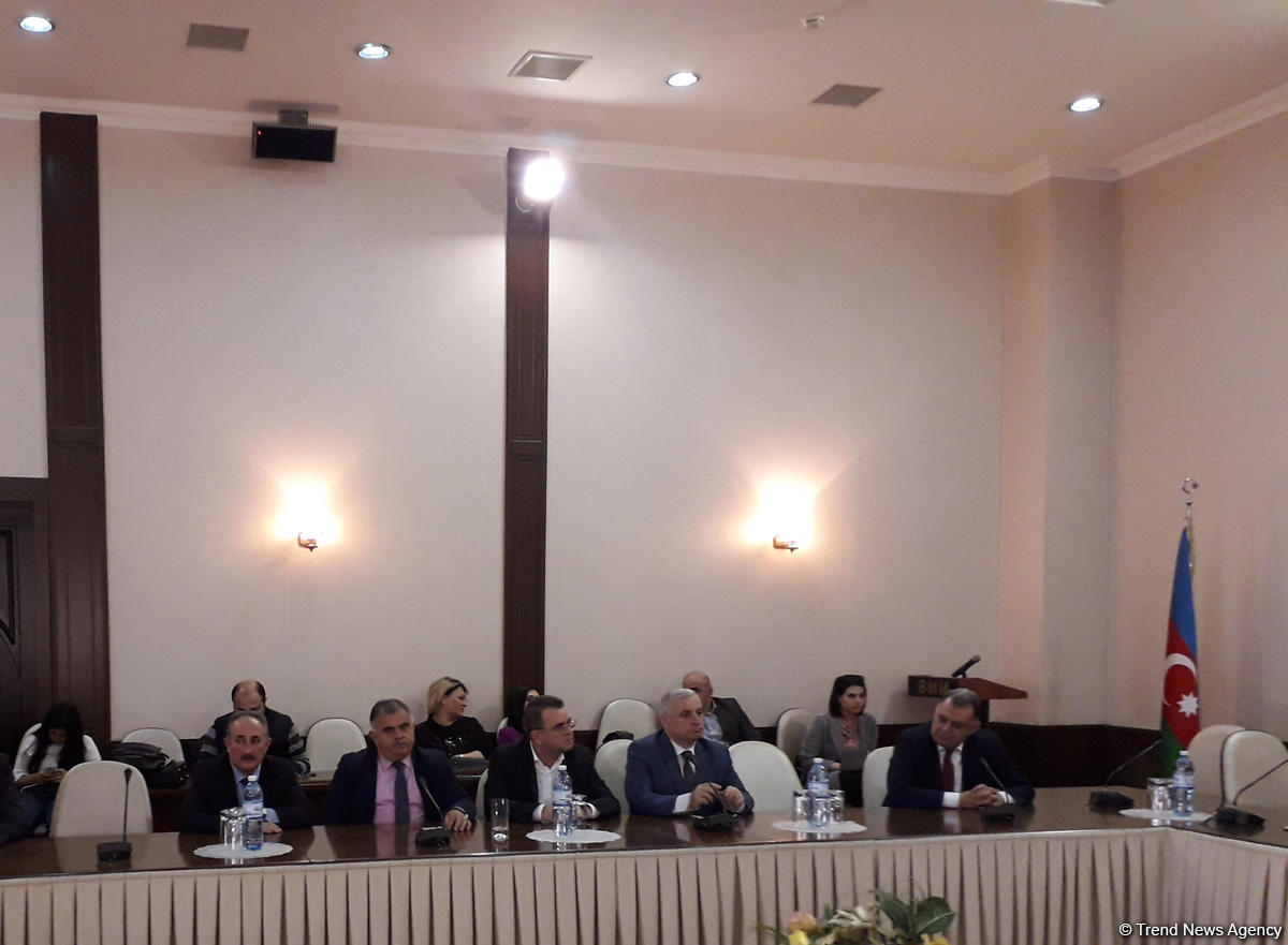 Əflatun Amaşov: Azərbaycan mediası seçkilərdə üzərinə düşən vəzifəni layiqincə yerinə yetirib