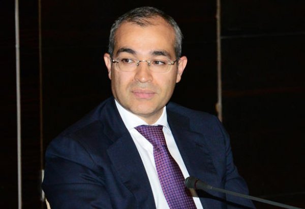 Mikayıl Cabbarov: Sahibkarlar biznesin inkişafı ilə bağlı dəstəklənəcək
