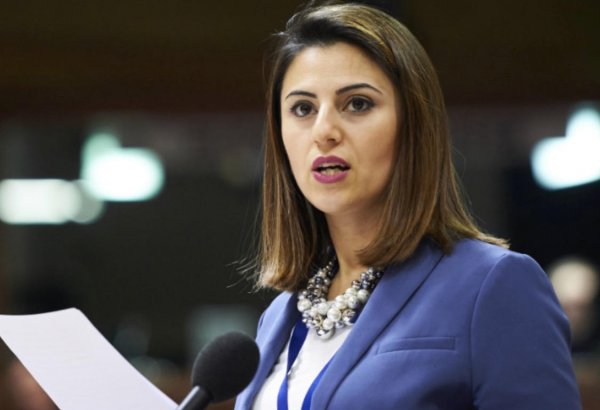 Deputat: AŞPA bəyanat və qərarlarla çox ehtiyatlı olmalıdır
