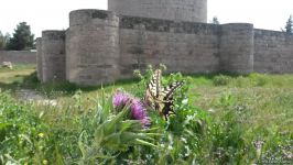 Yazılı sevgi etiraflarının "hücum"una məruz qalan kiçik Mərdəkan qalası (FOTO)