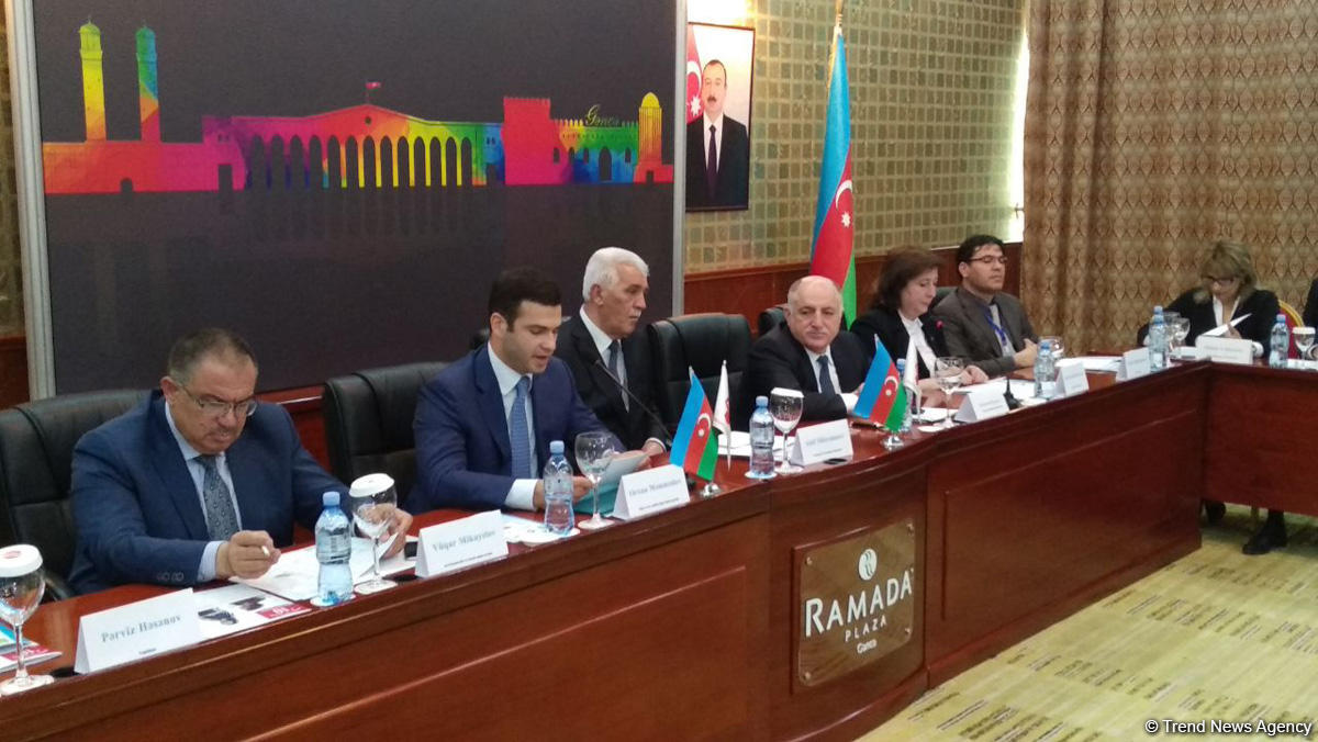 Orxan Məmmədov: Azərbaycanda sənaye potensialının reallaşdırılmasında  elmi-innovativ ideyaların biznesə inteqrasiyası vacibdir (FOTO)