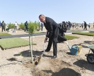 Prezident İlham Əliyev və birinci xanım Mehriban Əliyeva Ulu Öndər Heydər Əliyevin doğum gününə həsr olunan ağacəkmə aksiyasında iştirak ediblər (YENİLƏNİB) (FOTO)
