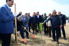 Yeni Azərbaycan Partiyası tərəfindən partiyanın yaranmasının 25 illiyi ilə əlaqədar ağacəkmə aksiyası keçirilib (FOTO)