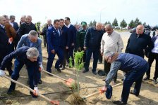 Yeni Azərbaycan Partiyası tərəfindən partiyanın yaranmasının 25 illiyi ilə əlaqədar ağacəkmə aksiyası keçirilib (FOTO)