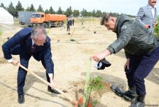 Yeni Azərbaycan Partiyası tərəfindən partiyanın yaranmasının 25 illiyi ilə əlaqədar ağacəkmə aksiyası keçirilib (FOTO)