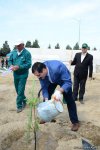 Yeni Azərbaycan Partiyası tərəfindən partiyanın yaranmasının 25 illiyi ilə əlaqədar ağacəkmə aksiyası keçirilib (FOTO)