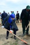Yeni Azərbaycan Partiyası tərəfindən partiyanın yaranmasının 25 illiyi ilə əlaqədar ağacəkmə aksiyası keçirilib (FOTO)